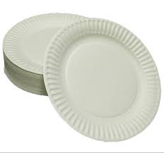 DISPOSABLE ROUND PAPER PLATES SET OF 100