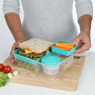 Bento lunch box sistema hotsell