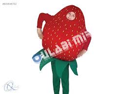 STRAWBERRY COSTUME